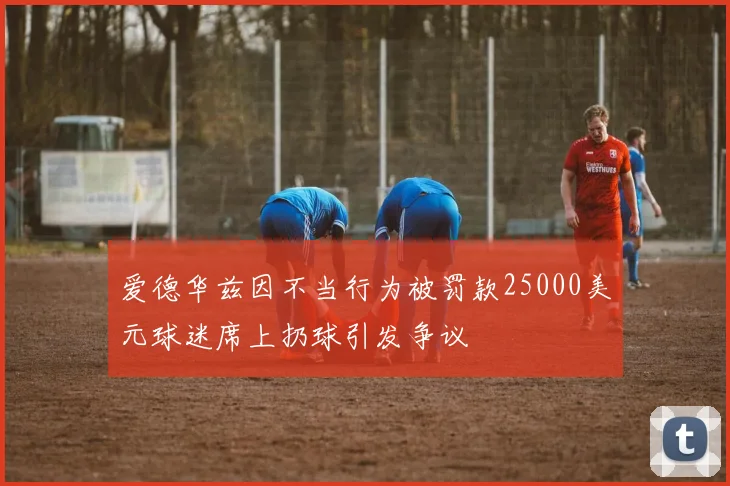 爱德华兹因不当行为被罚款25000美元球迷席上扔球引发争议
