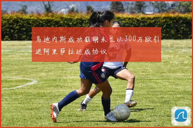乌迪内斯成功截胡米兰以300万欧引进阿里萨拉达成协议