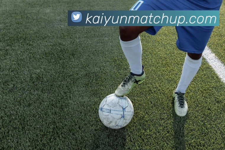 开云体育平台生态图