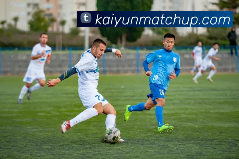 开云体育APP 封面图