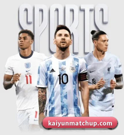 五个功能入口,赛程查询路径更短(kaiyun)